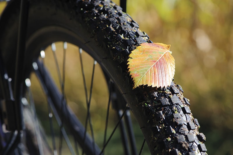 Dettaglio Ruota Bicicletta